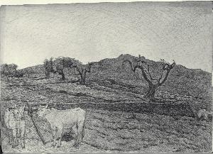 Visualizza l'immagine "Au. F 2 r."